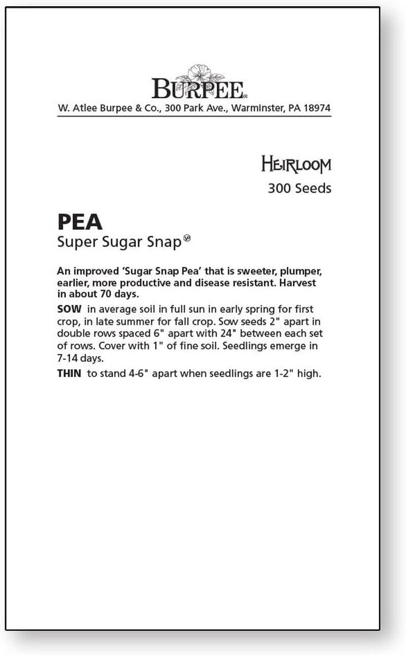 Super Sugar Snap Pea Seeds 300 Seeds