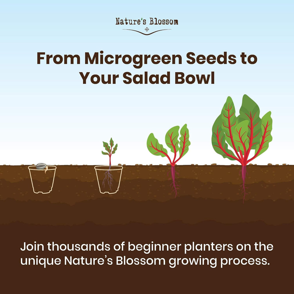Nature’S Blossom Microgreens Sprouting Kit – Outdoor & Indoor Herb Garden W/Arugula, Basil, Beets, and Chard Seeds – Gardening Gifts