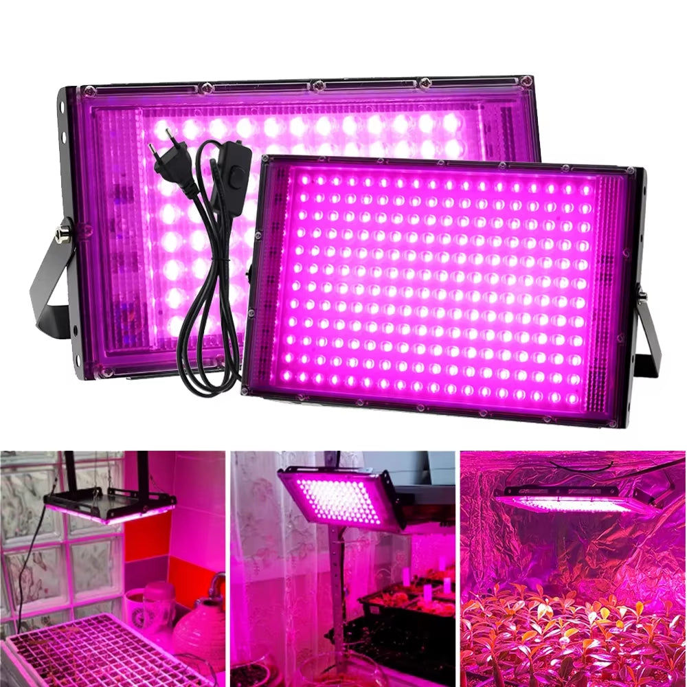 Led Grow Light Full Spectrum Phyto Lamp for Plant Light 300W Hydroponics Growing System Greenhouse Flower Seeds Grow Lighting