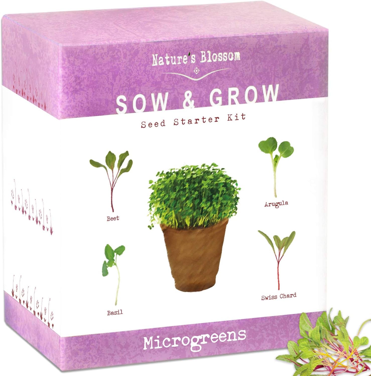 Nature’S Blossom Microgreens Sprouting Kit – Outdoor & Indoor Herb Garden W/Arugula, Basil, Beets, and Chard Seeds – Gardening Gifts
