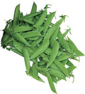 Super Sugar Snap Pea Seeds 300 Seeds