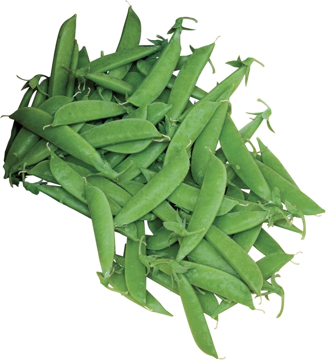 Super Sugar Snap Pea Seeds 300 Seeds