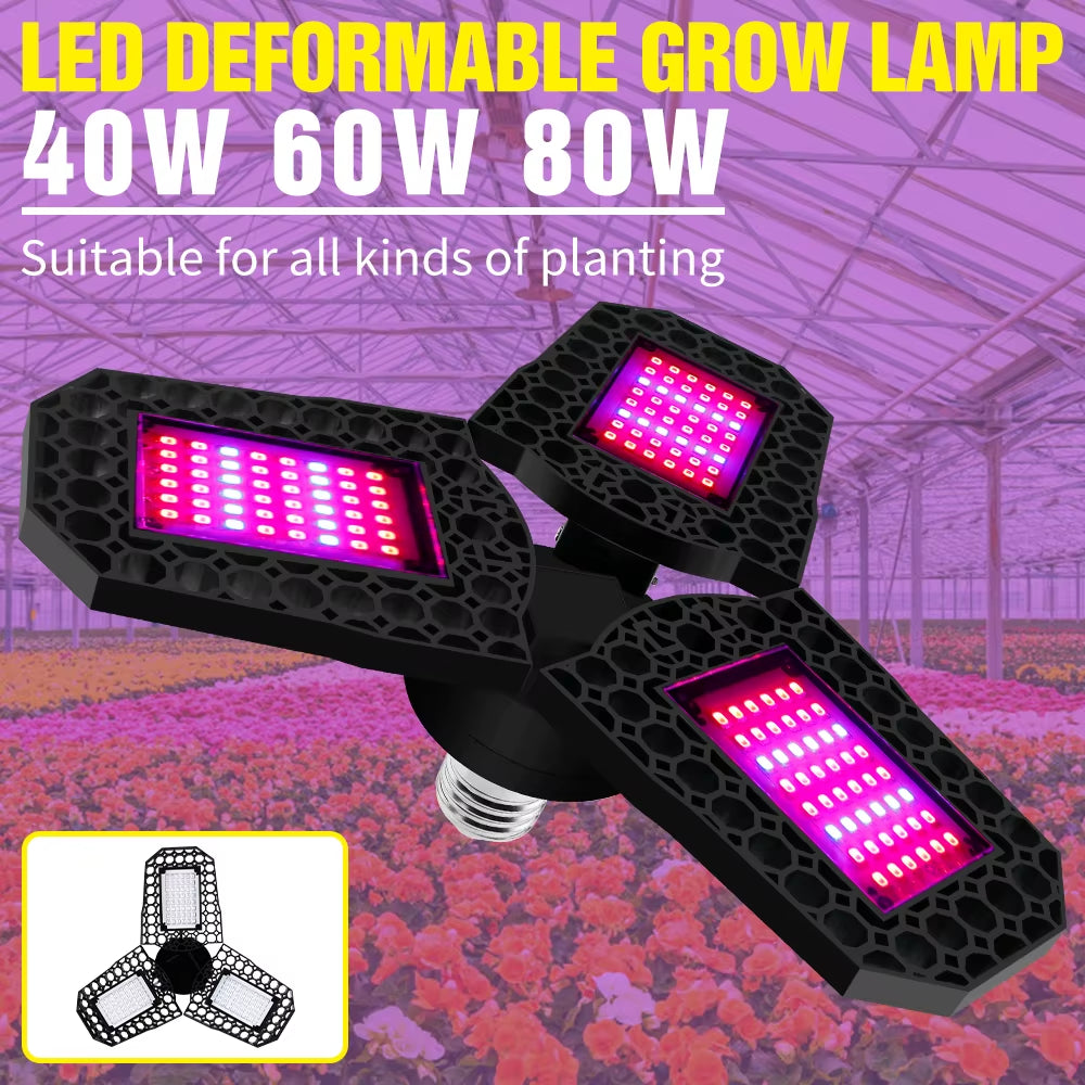 E27 LED Plant Grow Lights Full Spectrum Phytolamp Flower Seeds Hydroponics Growth Lamp Foldable for Indoor Cultivation Growbox