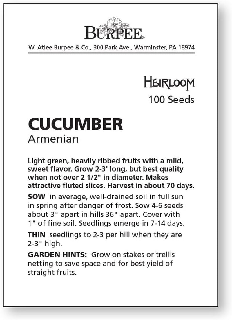 'Armenian' Cucumber Seeds, 100 Non-Gmo Seeds, Heirloom