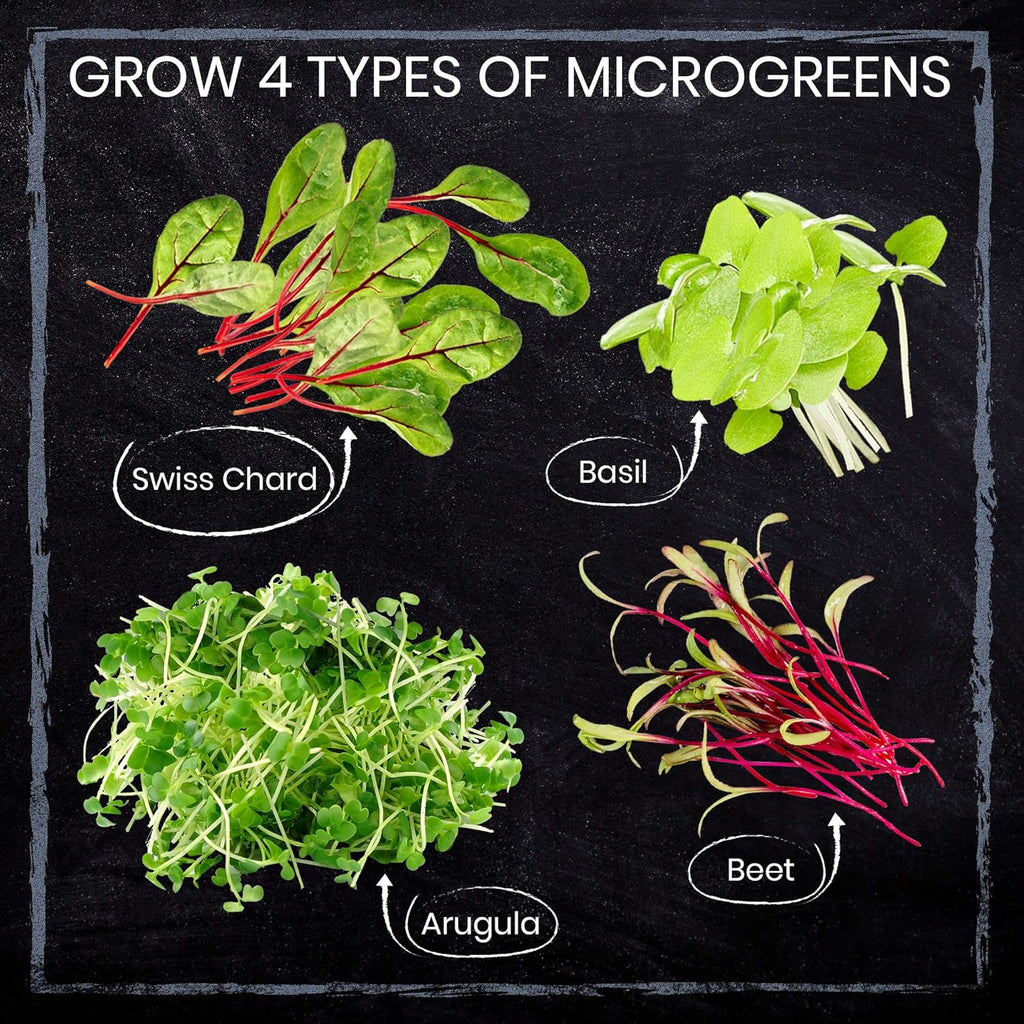 Nature’S Blossom Microgreens Sprouting Kit – Outdoor & Indoor Herb Garden W/Arugula, Basil, Beets, and Chard Seeds – Gardening Gifts